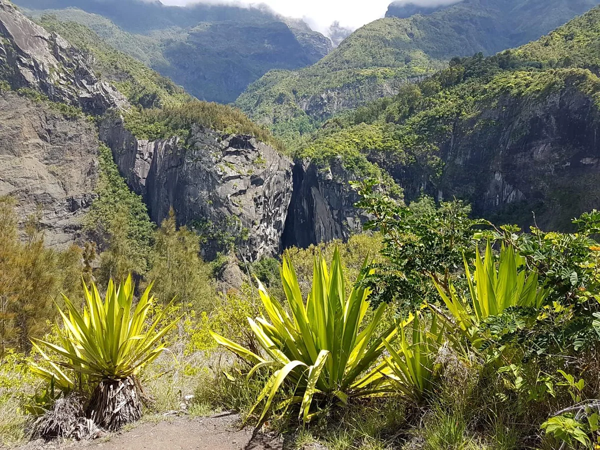 Le cirque de Cilaos, ses remparts et sa végétation