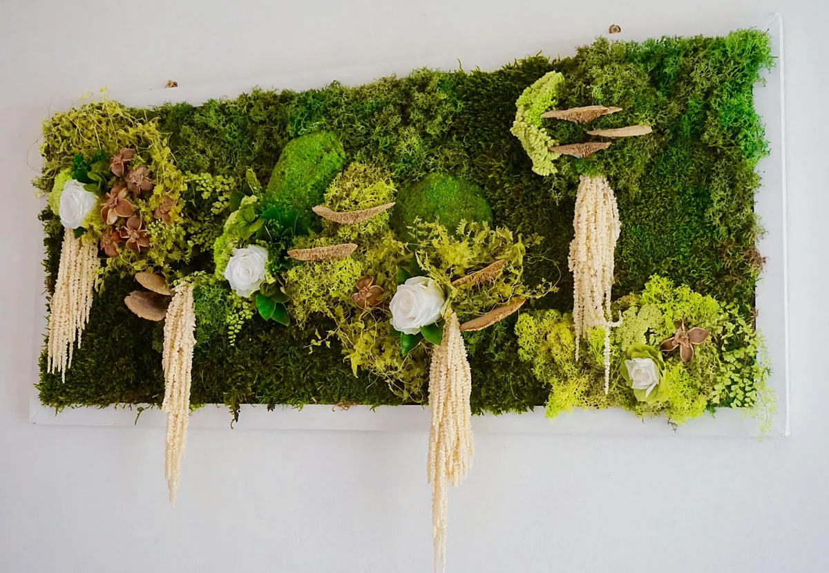 Un mur végétal de mousses et de fleurs séchées